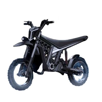 60V 20Ah Vorder-Hinterscheibenbremse Citycoco Elektroroller Offroad Elektromotorrad